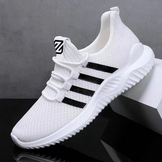 Bskt016_white